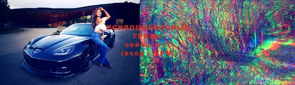 дмт Алзамай